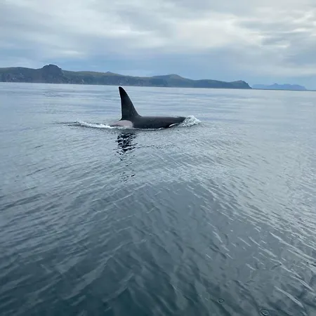 Velkommen Til «trollheim» Casa vacanze