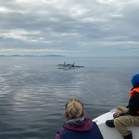 Velkommen Til «trollheim» * Bleik