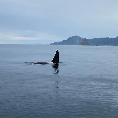 Casa vacanze Velkommen Til «trollheim» Bleik